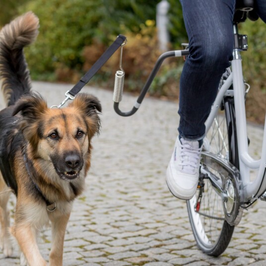 Trixie U-formet Sykkelsete for Hund M-XL - Stabil og Sikker Tur