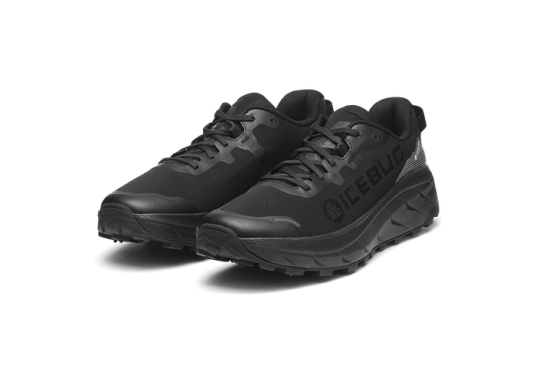 Icebug Arcus 2 Men's BUGrip GTX - TrueBlack Icebug Arcus 2 Men's BUGrip GTX - TrueBlack