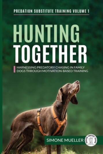 Hunting Together: Harnessing Predatory Chasing in