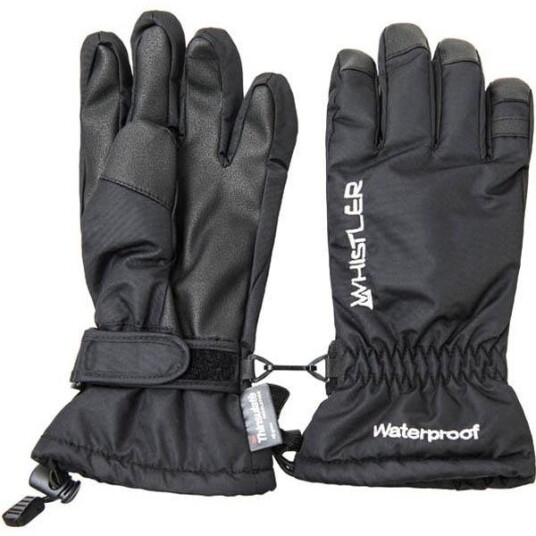 WHISTLER  Davos Jr. Waterproof Glove W/Soft PU Palm black 4/6