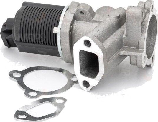 EGR ventil NAP carparts CAV10036 EGR ventil NAP carparts CAV10036