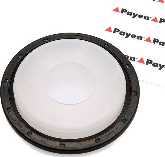 Simring veivaksel PAYEN NA5192