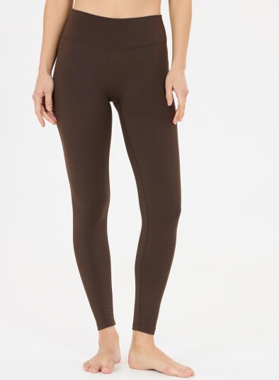 Athlecia Emarri W Tights   Brown   40