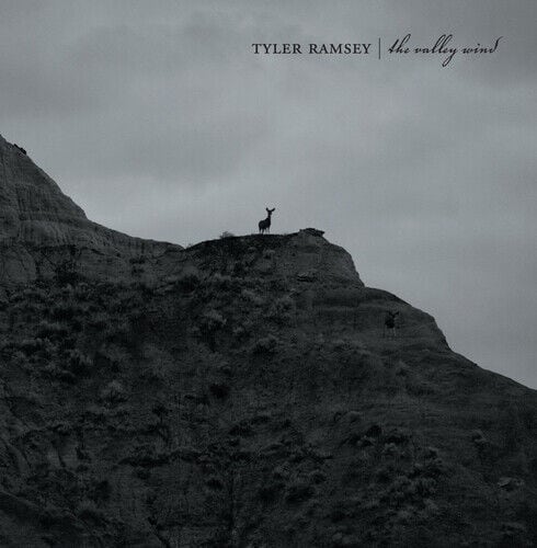 MediaTronixs Tyler Ramsey : The Valley Wind CD (2011) Pre-Owned