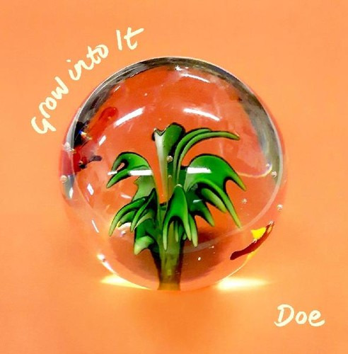 Doe Grow Into It CD