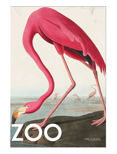Poster & Frame A.p. Atelier - The Zoo Collection — Pink Flamingo — Edt. 002 - Pink - 70X100CM Poster & Frame A.p. Atelier - The Zoo Collection — Pink Flamingo — Edt. 002 - Pink - 70X100CM