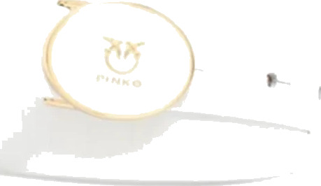 Pinko Dame Accessories Hvit S,