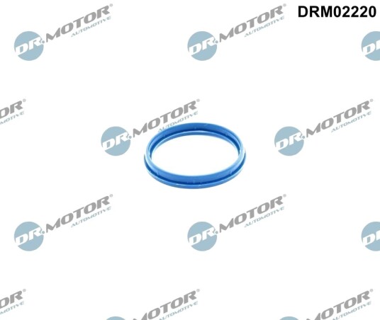 DR.MOTOR AUTOMOTIVE DRM02220 Pakninger, innsug