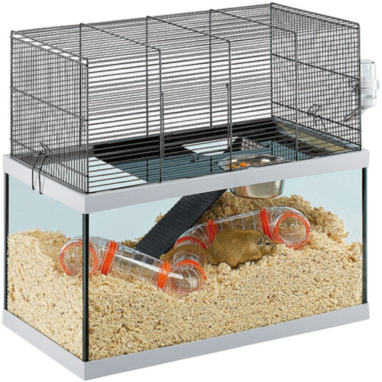 Gabry 60 Transparent 60 X 31.5 X 52 cm Gabry 60 Transparent 60 X 31.5 X 52 cm