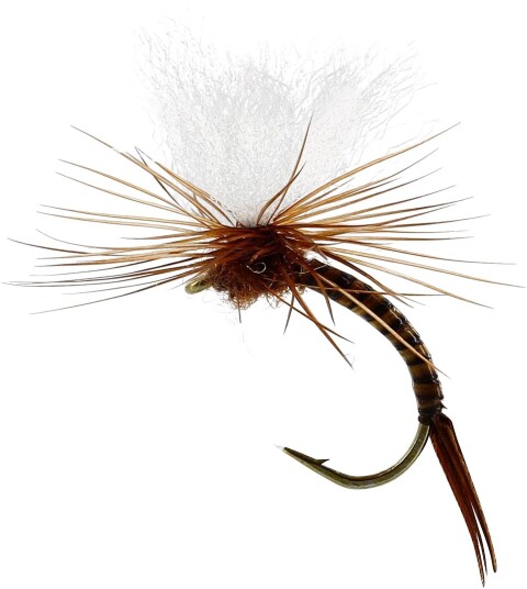 Flies Aurivilli Emerger Quill Brown #13 Brown
