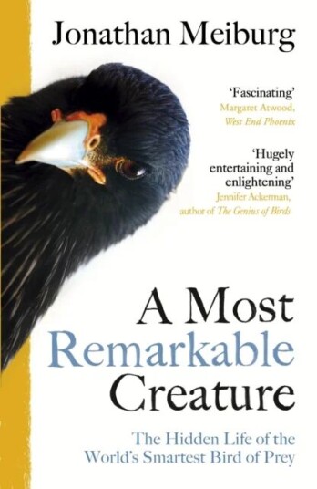 A Most Remarkable Creature Av Jonathan Meiburg A Most Remarkable Creature Av Jonathan Meiburg