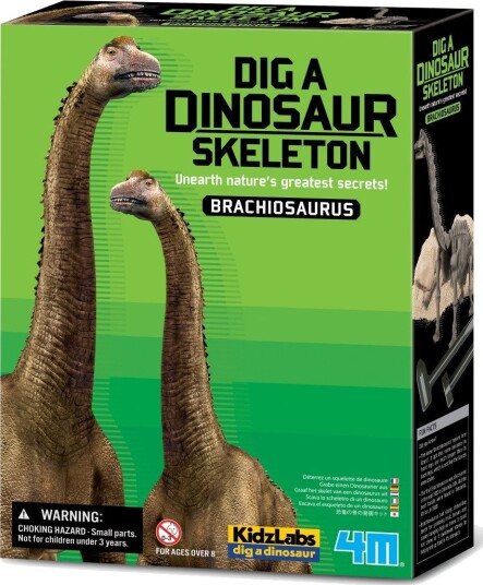 4m 3237 Brachiosaurus Utgravingssett 28 cm Skjelett Fra 3 År