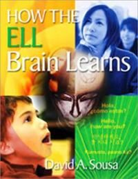 How The Ell Brain Learns Av David A. Sousa