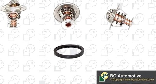 Termostat, kjølemiddel BGA CT5396K