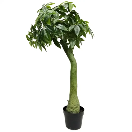 Mr Plant Pachira Tre 160 cm Mr Plant Pachira Tre 160 cm