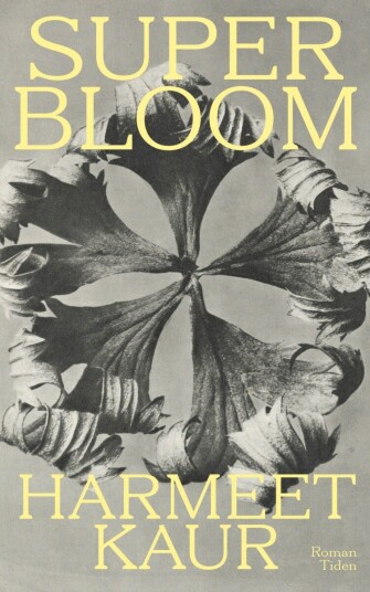 Superbloom
