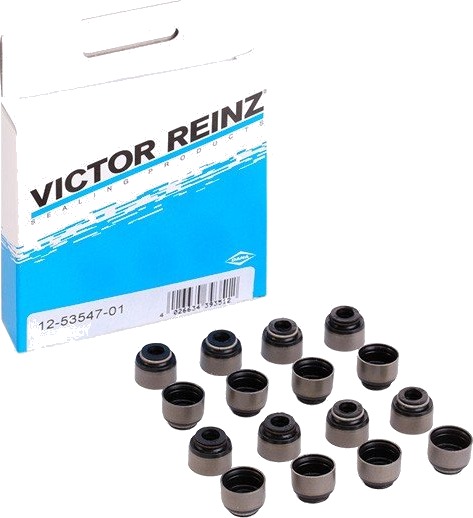 REINZ 12-53547-01 Pakningssett, ventilstamme