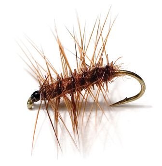 Unique Flies Superpuppan