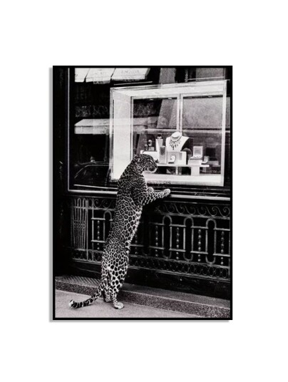 Leopard Vindusshopping Plakat