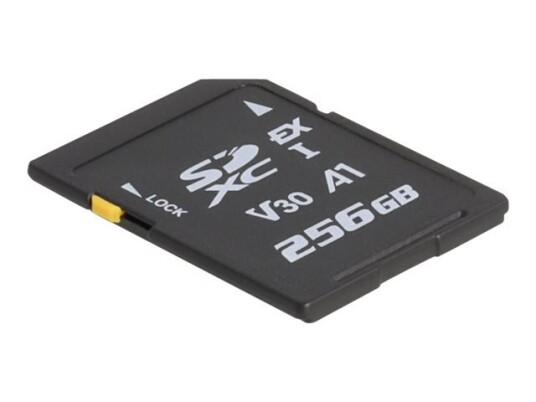 Delock - Flashminnekort - 256 Gb - Video Class V30 / Uhs-I U3 - Sd