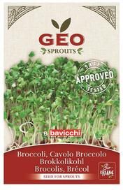 Geo Bavicchi Brokkolifrø Ø 13 g. Geo Bavicchi Brokkolifrø Ø 13 g.