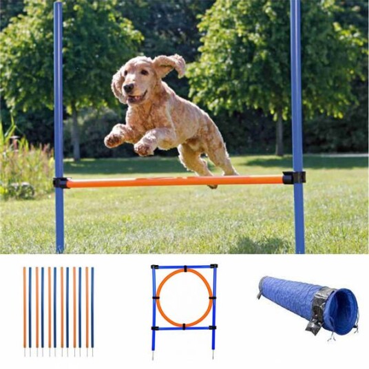 Agilitypakke Mellomstor/Stor Hund