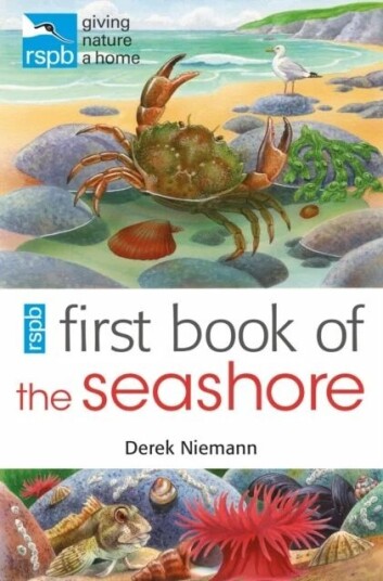 Rspb First Book Of The Seashore Av Derek Niemann