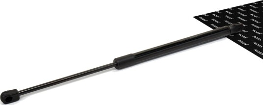 RIDEX 219G0085 Baklukedemper