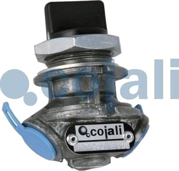 Flerveisventil COJALI 2215200