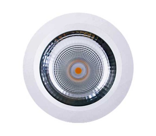 NP Avita LED Downlight 24W