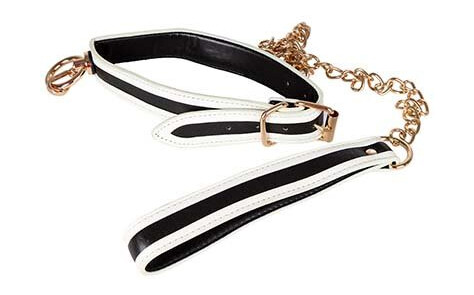 Glow-in-the-Dark Collar with Leash