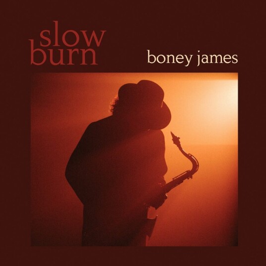 Boney James Slow Burn CD Boney James Slow Burn CD