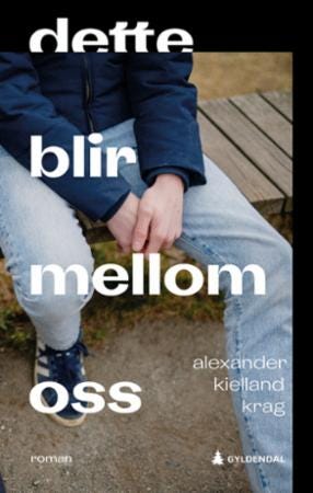 Dette blir mellom oss roman