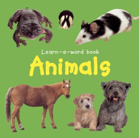 Learn a word Book: Animals