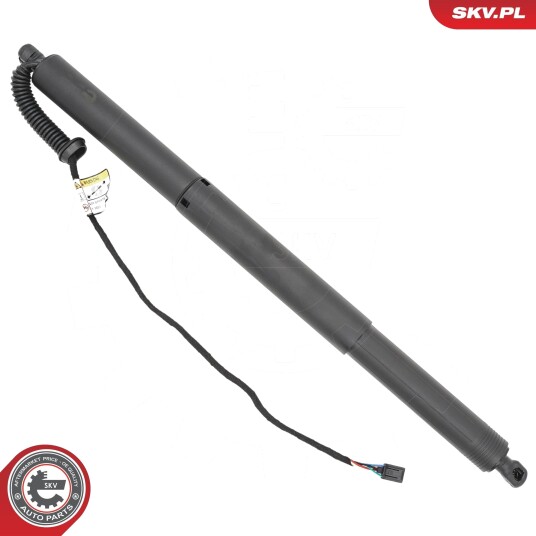 Elektromotor bakluke ESEN SKV 52SKV988
