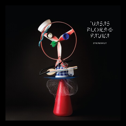 Vasas Flora Och Fauna Strandgut LP/Vinyl Vasas Flora Och Fauna Strandgut LP/Vinyl