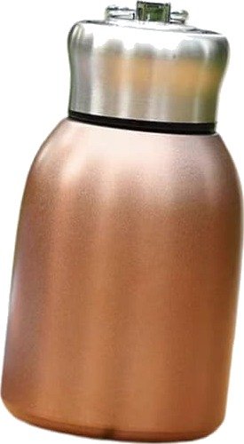Flaskeholder 300ml Sport for utendørs bruk Holder varmt eller kaldt Vakuum svart