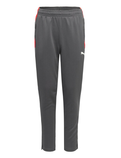 PUMA Individualliga Training Pants Jr Grey 164 PUMA Individualliga Training Pants Jr Grey 164