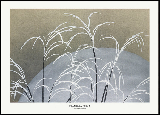 Frost From Momoyogusa Plakat Plakat / 30x40cm