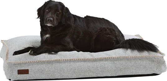 Sackit Cobana Hundeseng L 120 × 80 × 15 cm Sand Melange