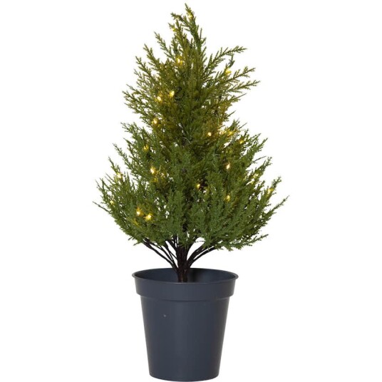 Star Trading Dekorasjonstre Star Trading Thuja 600 25 Star Trading Dekorasjonstre Star Trading Thuja 600 25
