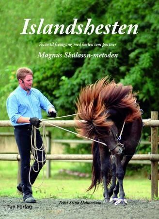 Islandshesten Av Stina Helmersson