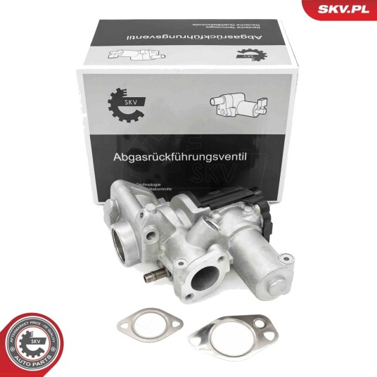 EGR Ventil ESEN SKV 14SKV253