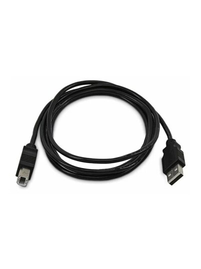 StarTech USB A to USB B Cable TAA SKUSBAB06 TAA