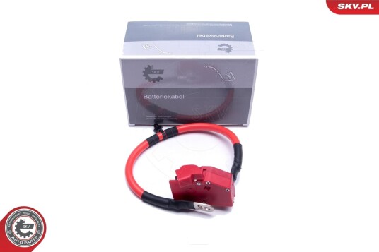 ESEN SKV 96SKV316 Batteriadapter