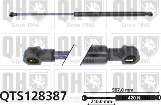 QUINTON HAZELL QTS128387 Baklukedemper
