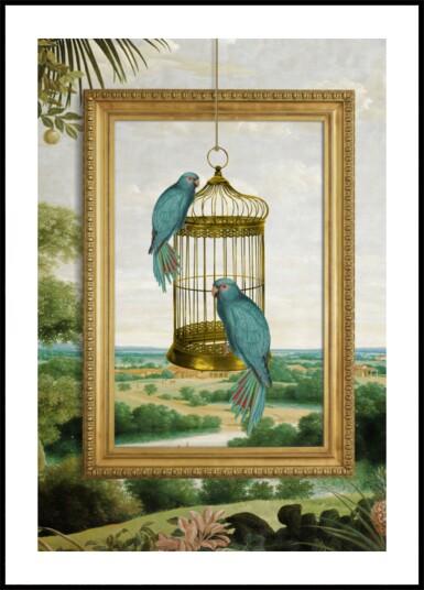 Blue Parrots Golden Cage Plakat / 70x100