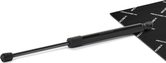 RIDEX 219G0075 Baklukedemper