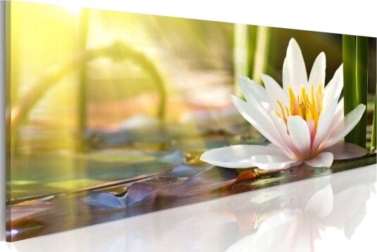 Bilde Lotus' Glow 150x50 Artgeist sp. z o. o.