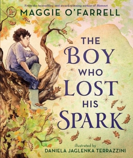 The Boy Who Lost His Spark The Boy Who Lost His Spark